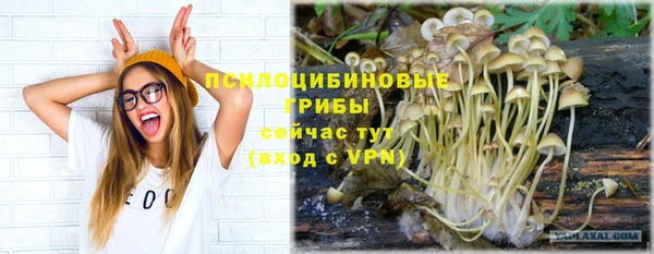 соль ск Россошь