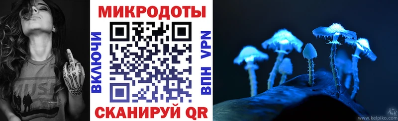 закладка  Серов  Галлюциногенные грибы ЛСД 